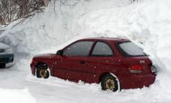 snow 呼死你电话轰炸